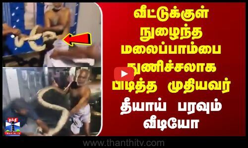 ThanthiTV's tweet card. வீட்டுக்குள்ள நுழைஞ்ச மலைப்பாம்ப, முதியவர் ஒருத்தரு தைரியமா பிடிச்சிருக்காரு.. நாகர்கோவில் அருகே வீட்டிற்குள் புகுந்த மலைப்பாம்பை முதியவர் அப்துல்ரசாக் என்பவர் சாதுரியமாக பிடித்தார். மழை காரணமாக...