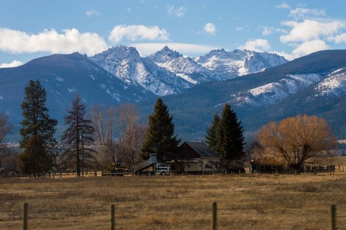 Shutterbug_Chel's tweet card. Find more inspiring images at VIEWBUG - the world’s most rewarding photo community.