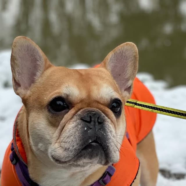 SmartScaffold's tweet card. Smart Scaffolding Ltd (@smartscaffold) • Instagram photos and videos