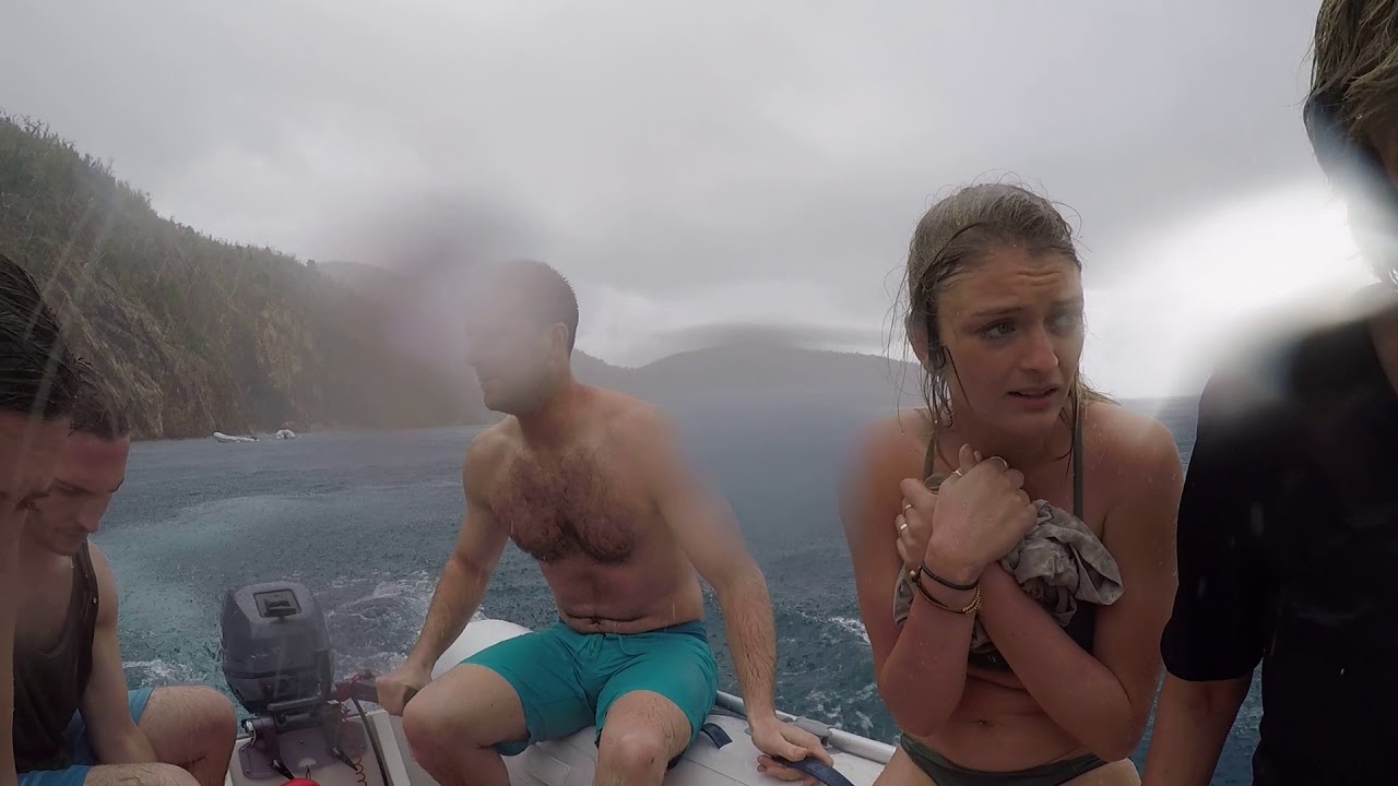 tomdupont's tweet card. Raining in the Dinghy