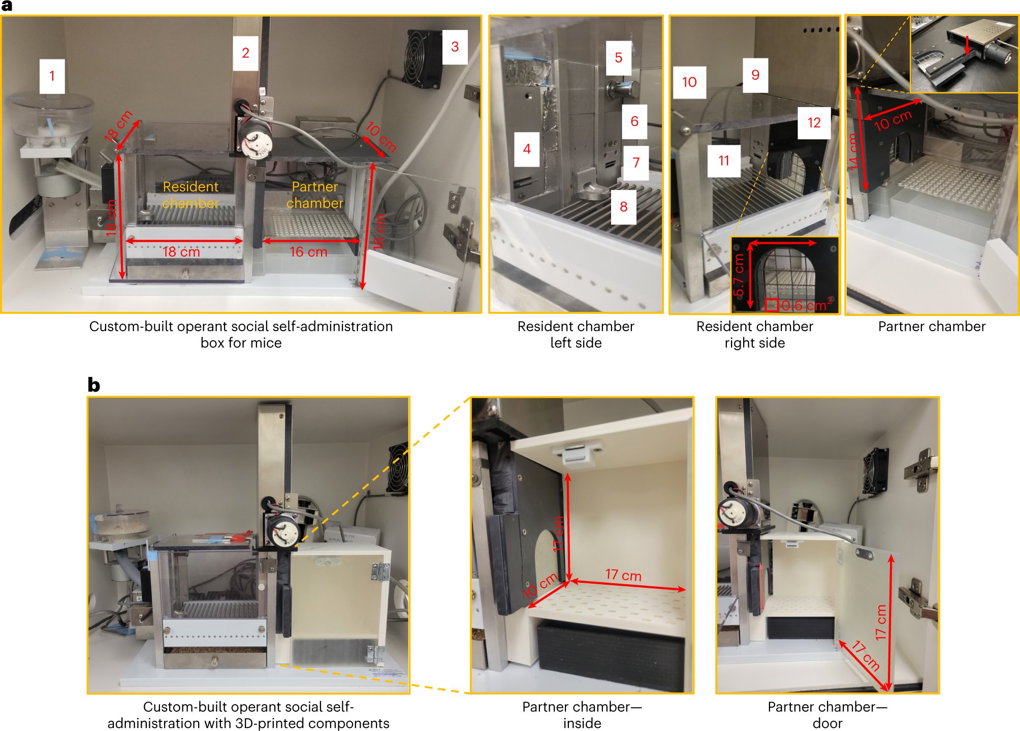 MarcoVenniro's tweet card. Nature Protocols - This Protocol Extension describes an operant model in which mice lever press to obtain rewarding social interaction with a peer. The model can be used to study the role of...