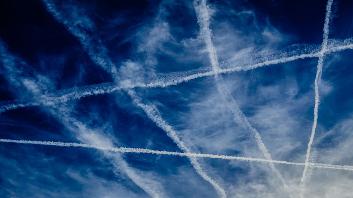 SillySigns1's tweet card. Foto: Unsplash/Sue WinstonHelp ons door deze info met iederen die je kent op je social media te delen! Pieter Parlevliet besloot bij de Kamer van Koophandel het uittreksel van de onderneming achter...