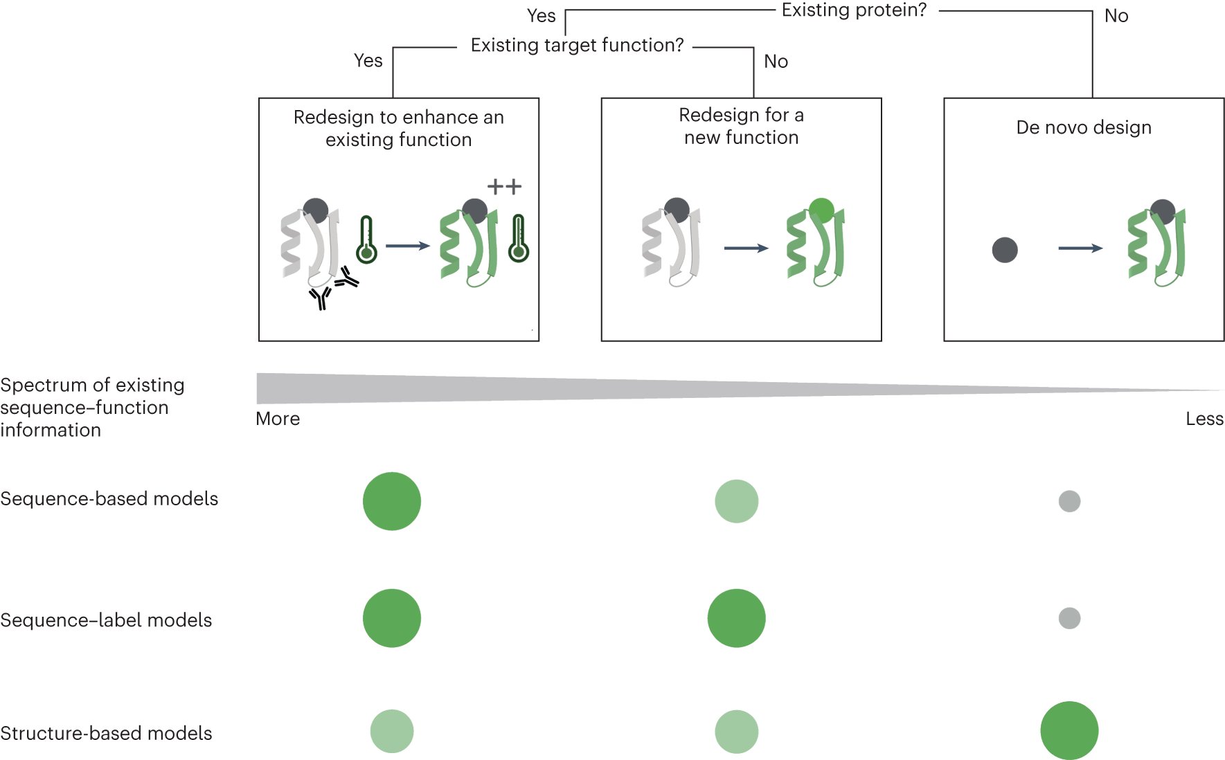 deboramarks's tweet card. Nature Biotechnology - Notin, Rollins and colleagues discuss advances in computational protein design with a focus on redesign of existing proteins.