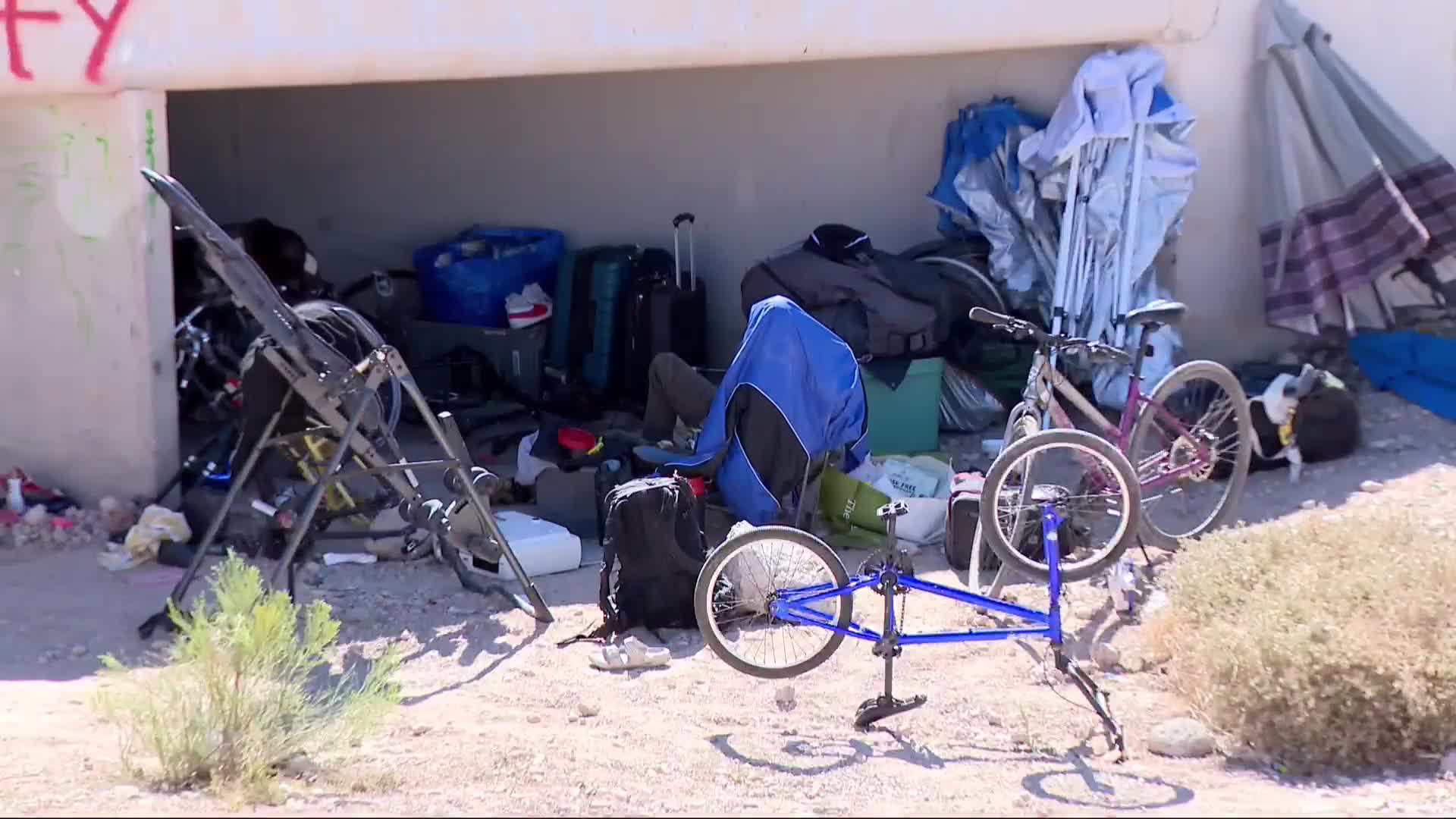 ALROJASFORNEV's tweet card. "I've experienced people, homeless people laying on the couches in the middle of the courtyard. People coming in and getting out of the hot tub like it was a ba