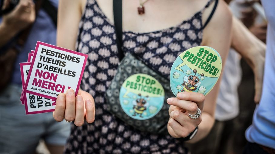 franceinfo's tweet card. Les effets de l'acétamipride, pesticide réintroduit par la loi Duplomb, "s'avèrent importants", explique Philippe Grandcolas, directeur adjoint de l'institut Écologie et Environnement au CNRS, mardi...