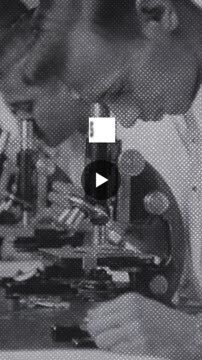 WHOFoundation's tweet card. Discover 5 facts about WHO and its global impact ⬇️ | 24 comments on LinkedIn