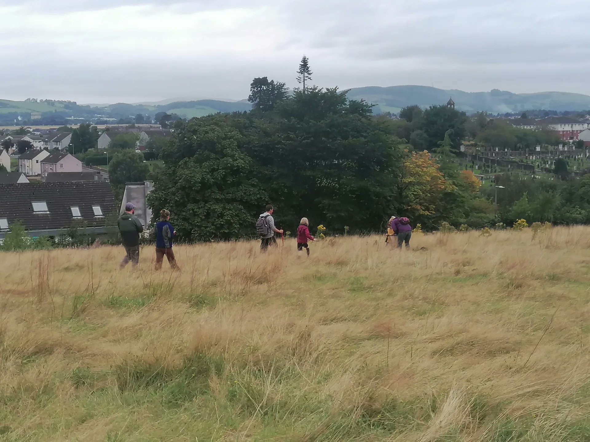 WWDN_scot's tweet card. Deadline: Friday 25th October 2024 at 5:00pm. As we continue to nurture creative engagement and community development, WWDN is excited to support Propagate and NHS D&G in their Mountainhall Greensp...