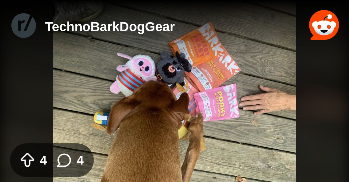 AskGildaSeniors's tweet card. Explore this post and more from the TechnoBarkDogGear community