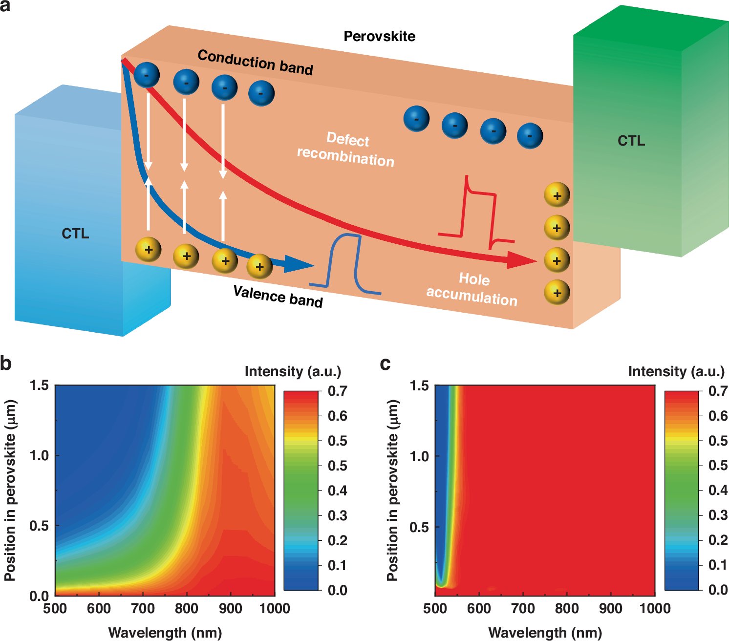 LightSciAppl's tweet card. Light: Science & Applications - Carrier dynamic identification enables wavelength and intensity sensitivity in perovskite photodetectors