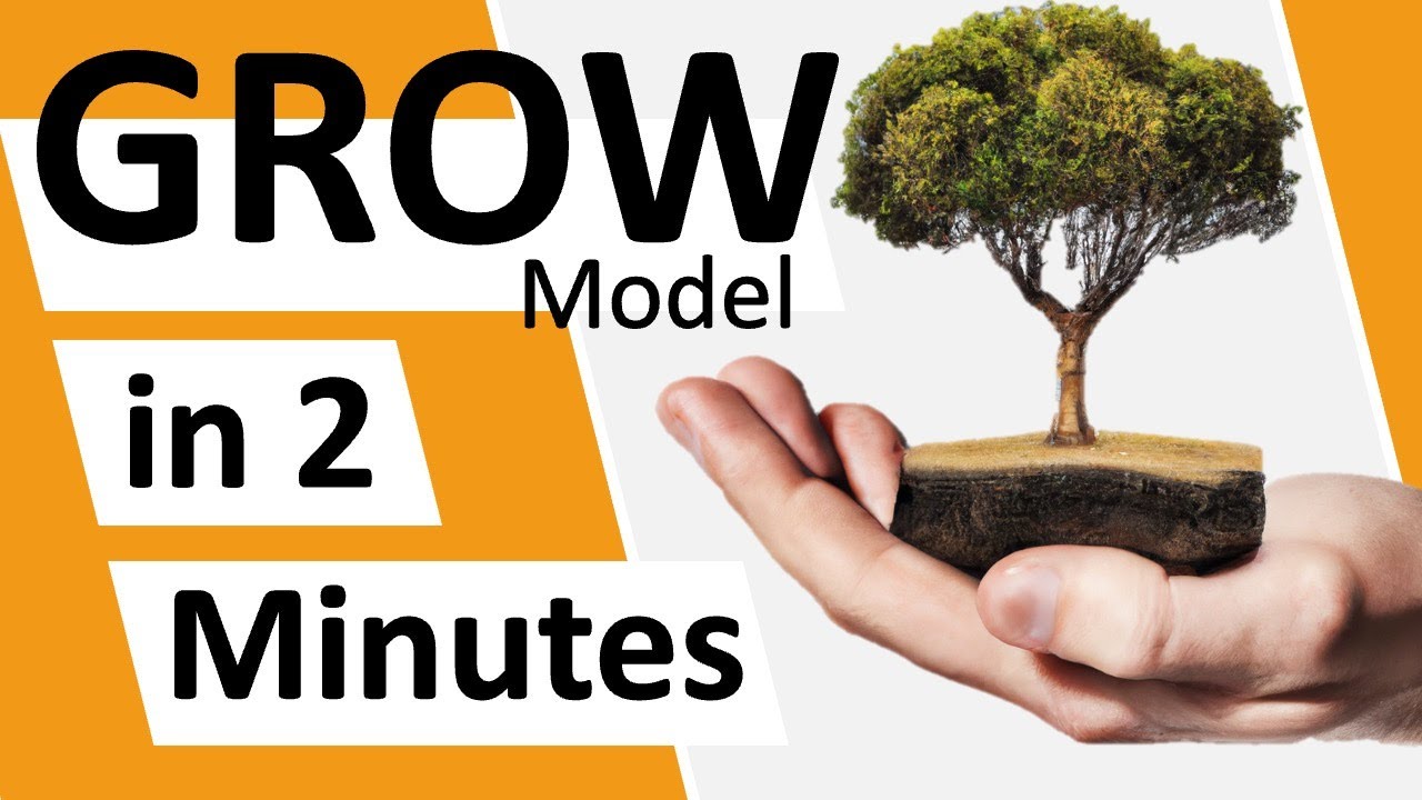 DigestVinyl's tweet card. GROW model: Introduction in 2 minutes