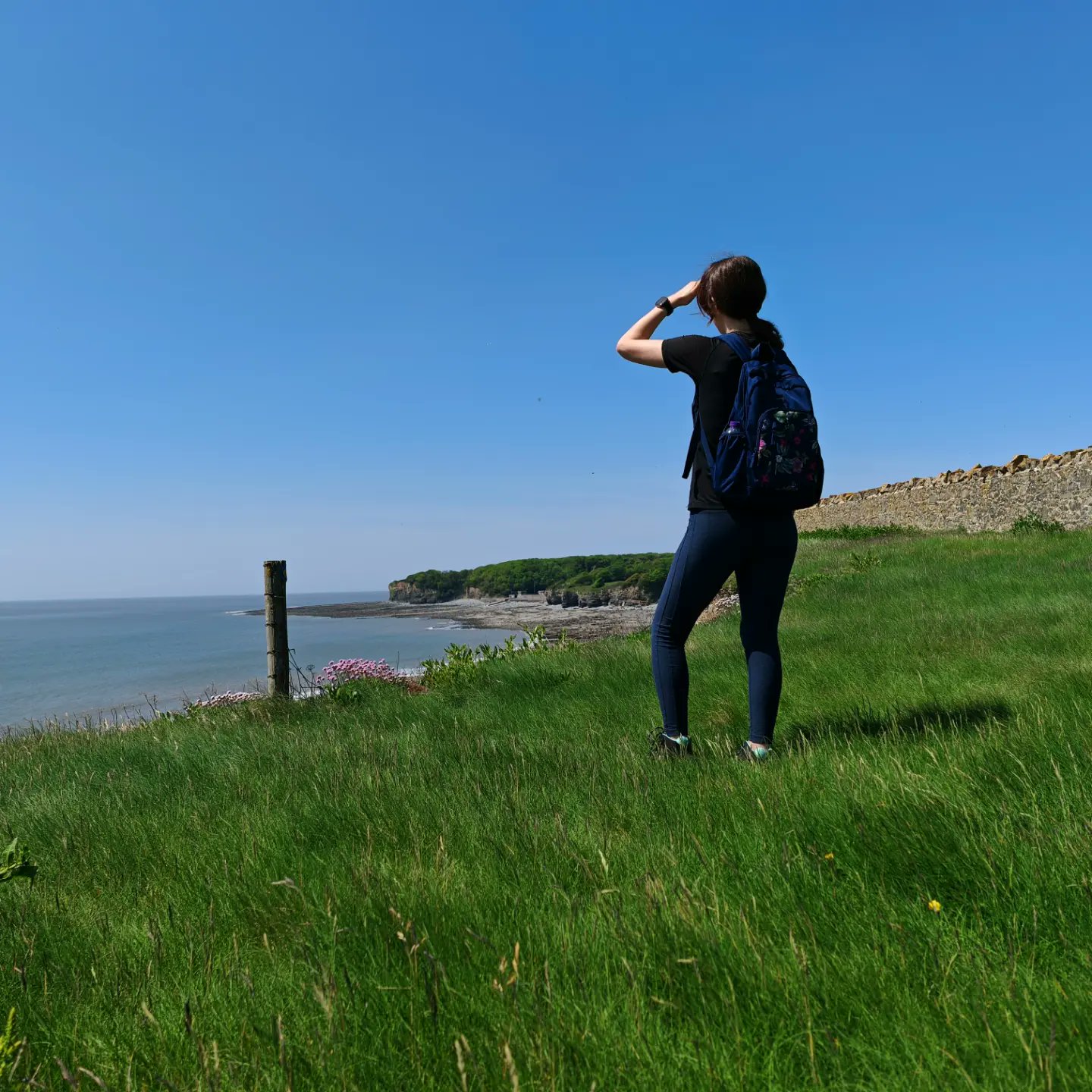 SarahCBlogger's tweet card. 5 Important Things Gym Newbies Should Know [Gym Tips For Women] While I appreciate that many New Year's resolutions have likely faltered by February, I felt compelled to write this article after a...