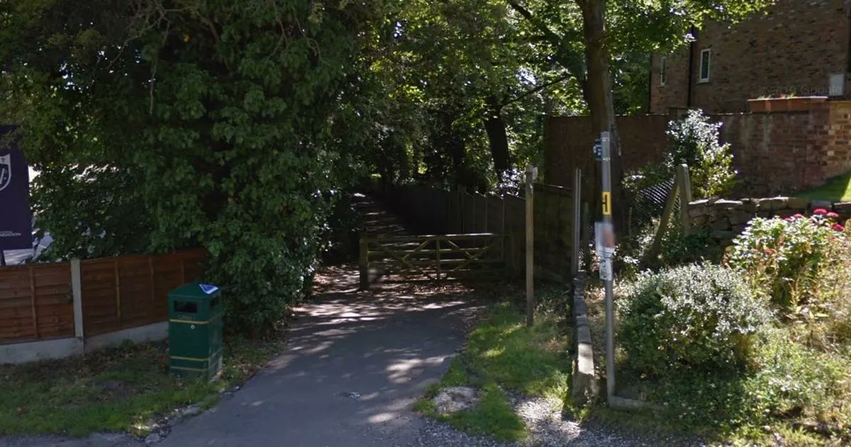 Tree_Consultant's tweet card. The man, 35, was pronounced dead at the scene