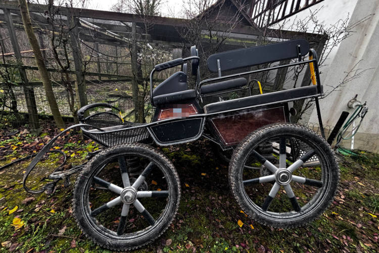 polizeitickerch's tweet card. In Amlikon-Bissegg wurde am Mittwoch ein Fussgänger mittelschwer verletzt, nachdem eine durchgehende Pferdekutsche von der Strasse abkam und ihn auf einem Feldweg erfasste. Auch der Kutscher wurde...