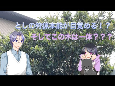 matsukamoto2's tweet card. 『第13回：満を持しての雑談回』浅木俊之／渡部康大　#bl #blanime #comics #声優 #ボイスコミック #漫画...