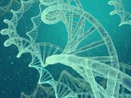 CME_Docs's tweet card. The way people respond to stress and mood disorders can shorten lifespan. A thorough piece of research may have pinned down one of the genes responsible.