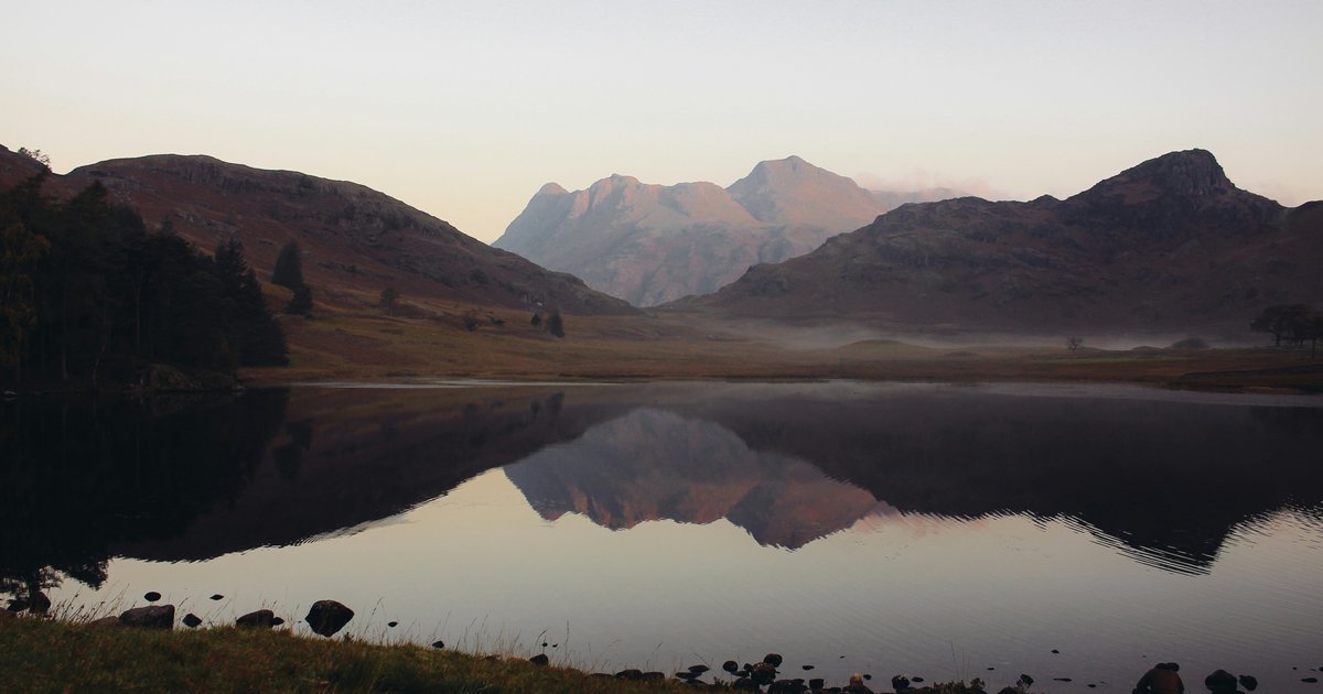 BartleProfessor's tweet card. The conditions are in place for a Conservative collapse, but it is not guaranteed.