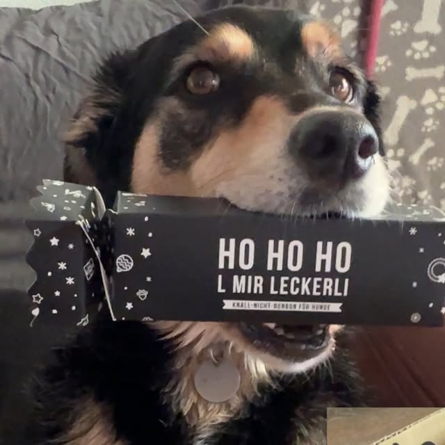 Lord_Bobbel's tweet card. Lord.Bobbel (@lord.bobbel) • Instagram photo