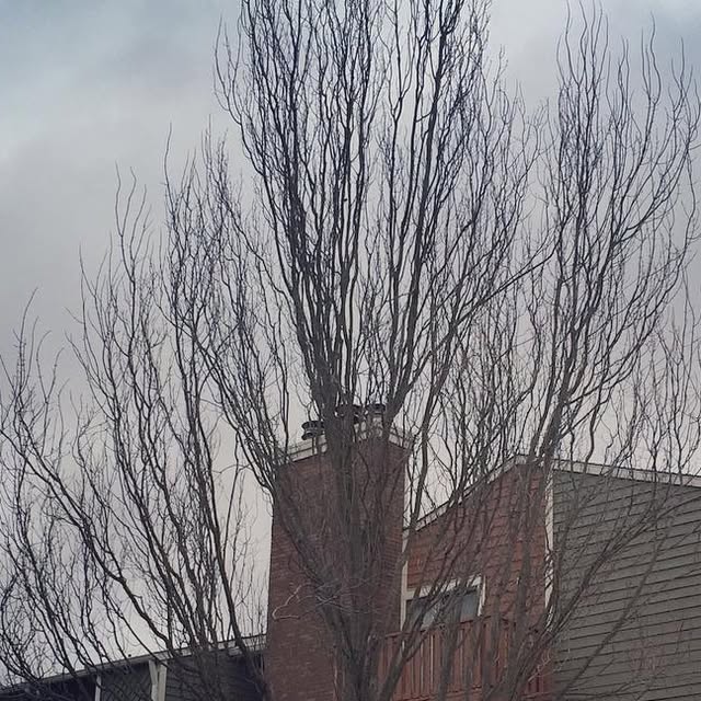 imravibhatt's tweet card. Ravi Bhatt (@imravibhatt) • Instagram photo