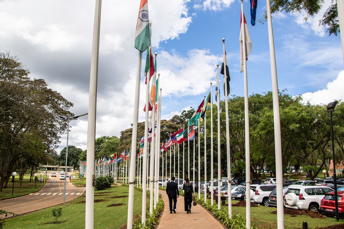 cobbo3's tweet card. The United Nations is growing the capacity of its secretariat headquarters in Kenya — its only facility in Africa and already the biggest worldwide — cementing Nairobi’s position as the international...