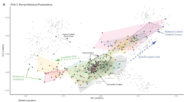 pelfile12's tweet card. The genetic study by Projekti Rrenjet reveals that most Albanians have roots in the Albanian lands dating back to the Middle Ages, countering claims from Serbian and Greek sources regarding Caucasi…