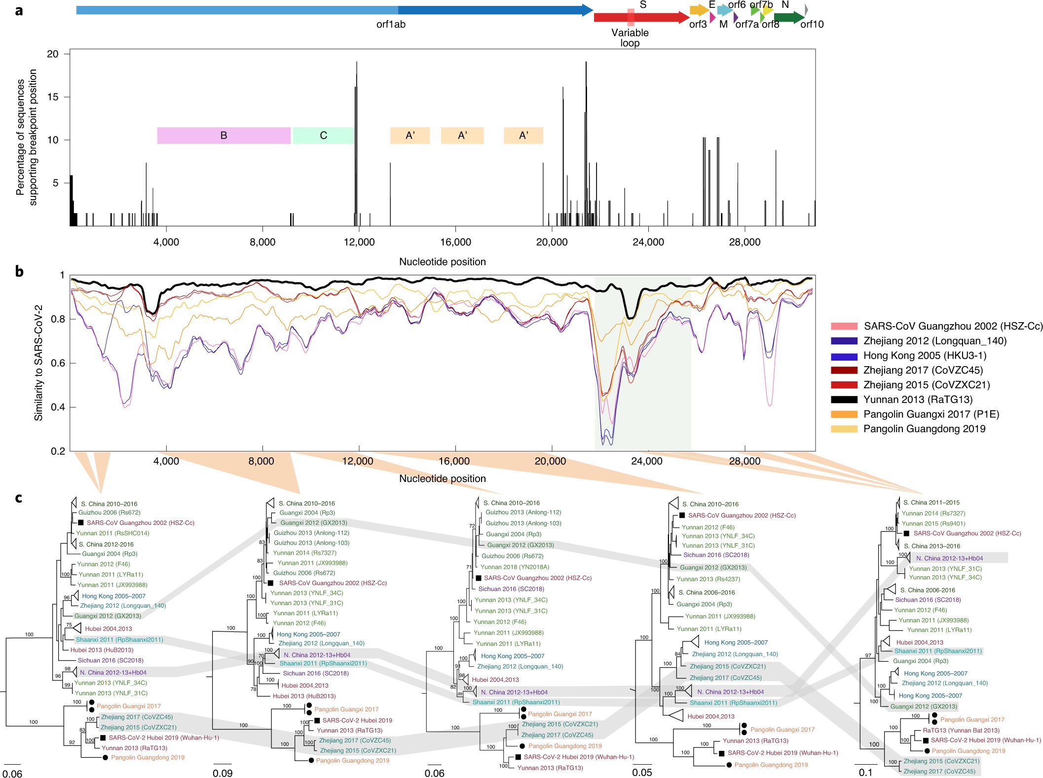 Laurie_Garrett's tweet card. Nature Microbiology - In this manuscript, the authors address evolutionary questions on the emergence of SARS-CoV-2. They find that SARS-CoV-2 is not a recombinant of any sarbecoviruses detected to...