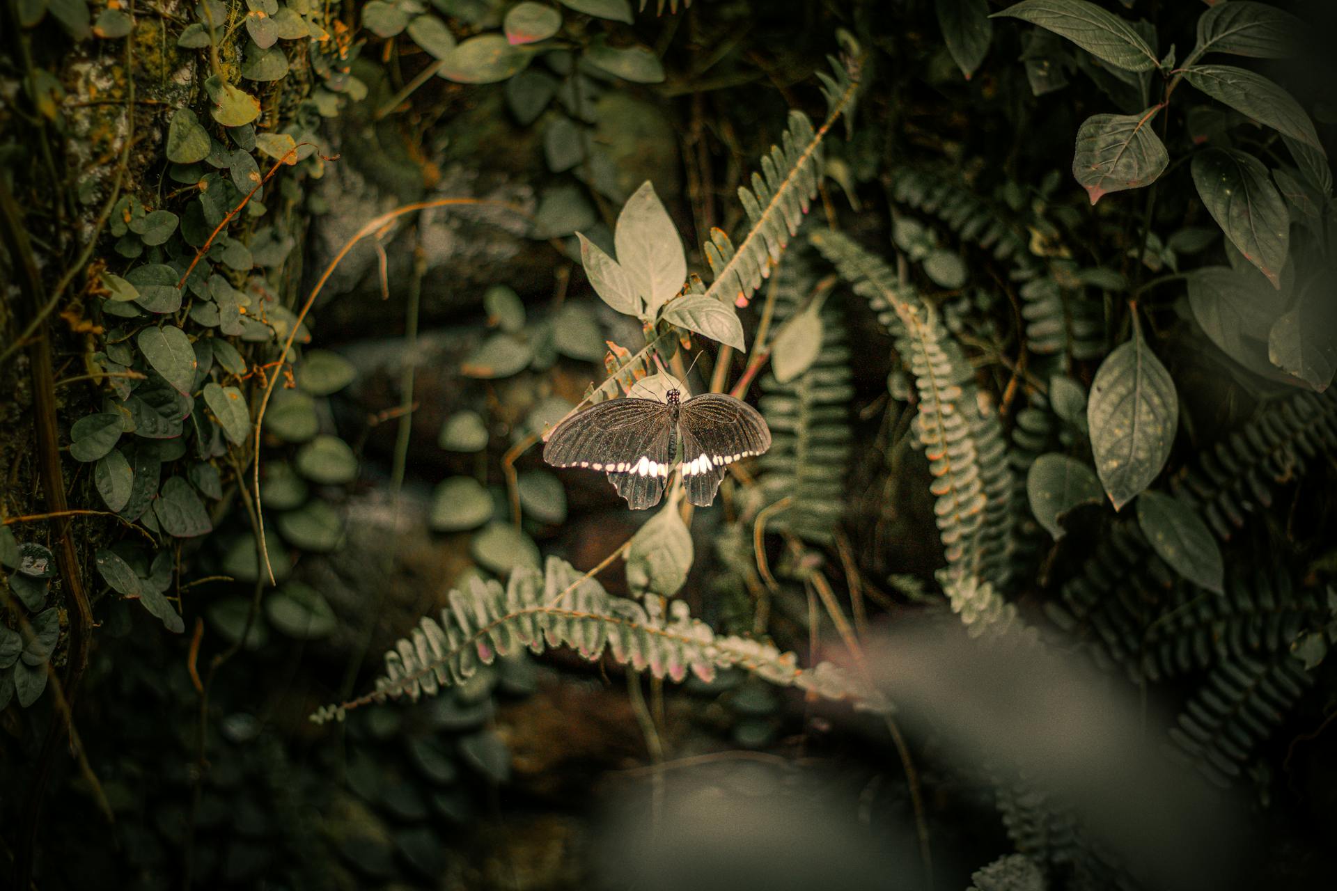 ECPR_TheLoop's tweet card. Institutional theories rooted in the works of Joseph Schumpeter and Robert Dahl still dominate the study of democracy. But, argues Ryusaku Yamada, this Science of Democracy 2.0  discussion reveals...