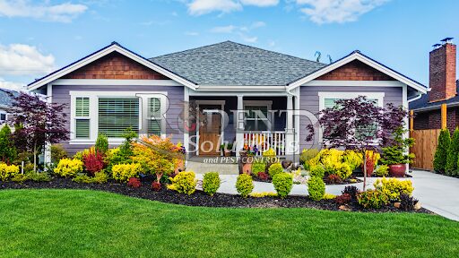 rodentsolution's tweet card. How Much is Pest Control? Treatment costs can vary widely based on the tiny beasts we’re dealing with, keep reading to learn more.