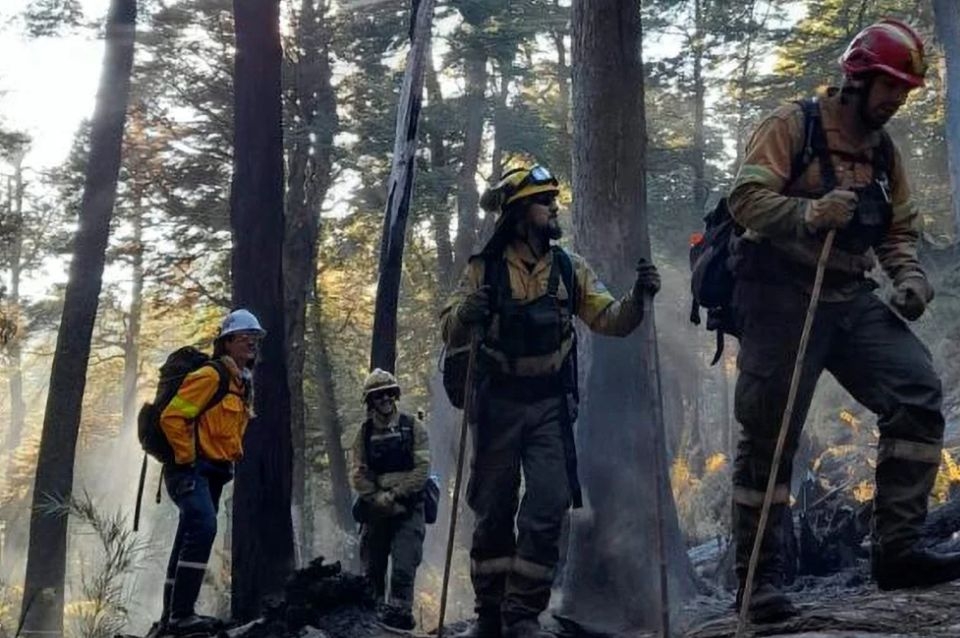 radiolt10's tweet card. Las llamas se habrían originado por la negligencia de una turista.