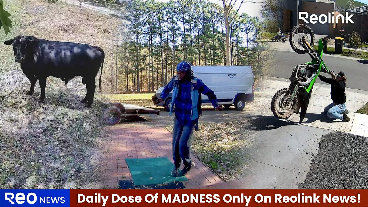 ReolinkTech's tweet card. Viral Biker Crash Raises Big Questions About Home Security Cameras