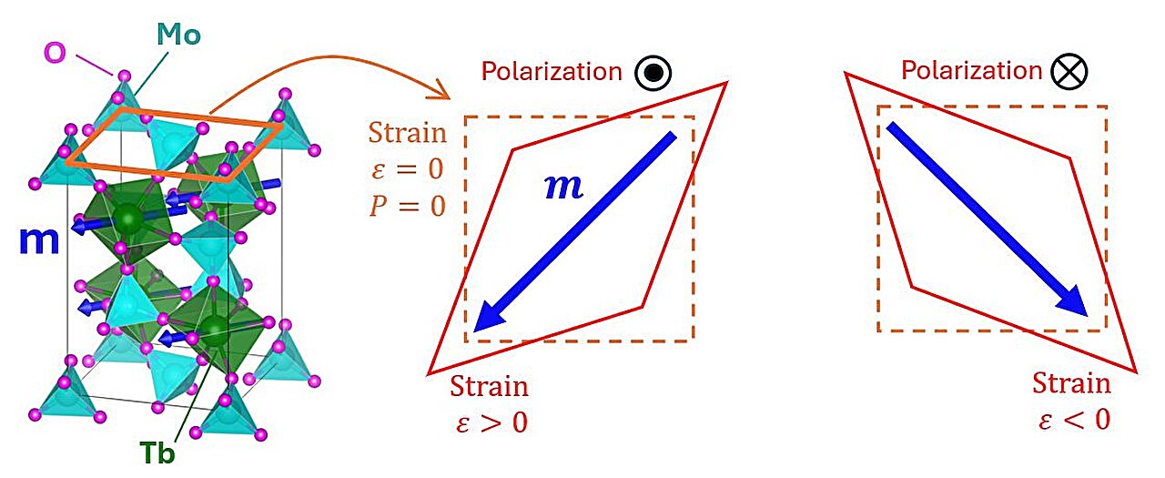 gsncusa's tweet card. While most multiferroics can't operate above room temperature, a team of researchers at Tohoku University demonstrated that terbium oxide Tb2(MoO4)3 works as a multiferroic even at 160°C.