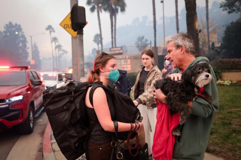 AVMAvets's tweet card. Annie Harvilicz runs two veterinary hospitals and is taking in animals that have been displaced by the fires raging around Los Angeles.