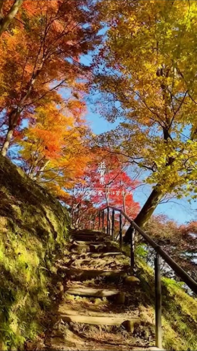 lightout's tweet card. 【季節の彩り】美しい日本の紅葉　#通勤タイパ #japantravel #紅葉