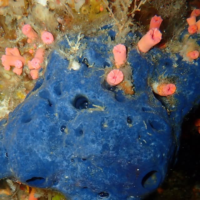 RyukyuChem's tweet card. 琉大化学 (@ryukyuchem) • Instagram photos and videos