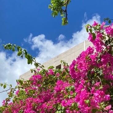 RyukyuChem's tweet card. 琉大化学 (@ryukyuchem) • Instagram photos and videos