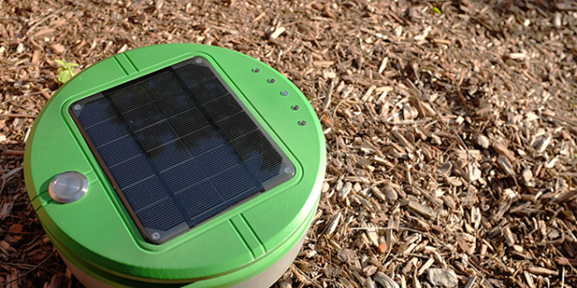 Tertill_Corp's tweet card. The Tertill uses blades and sensors to take care of weeding for you.