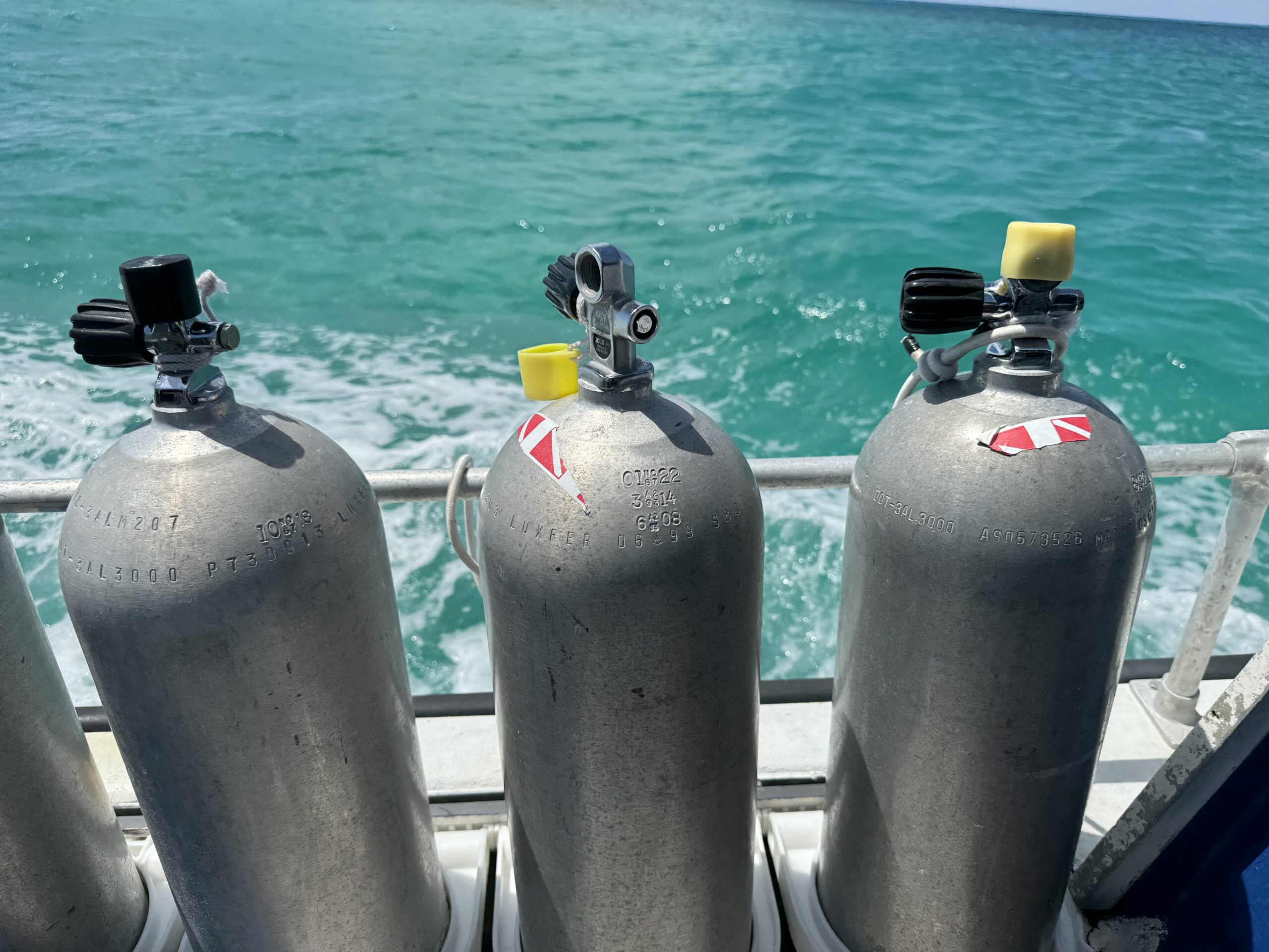 CalEvans's tweet card. Calling all scuba enthusiasts! Are you tired of scouring the web for the latest scuba news? Do you ever feel like you’re missing out on exciting discoveries and innovative gear? Well, get ready to...