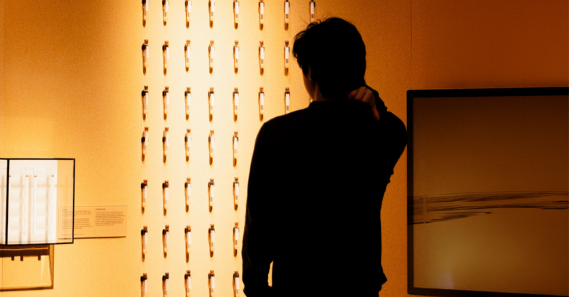 MITMuseum's tweet card. The Museum is pleased to offer a dedicated morning for visitors who would benefit from a sensory-friendly experience.