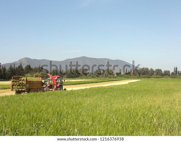 lamiah14's tweet card. Explore photos and images by Lamiata creation on Shutterstock. Discover their unique visuals for your projects.