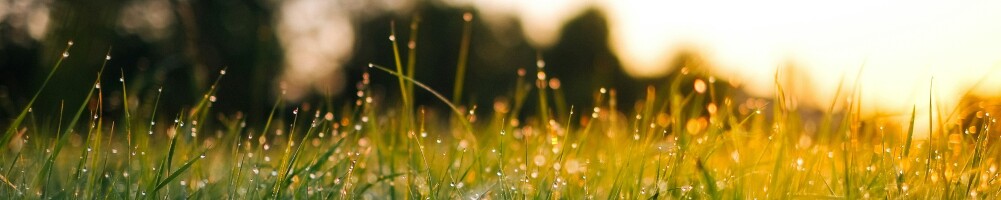 thomasp85's tweet card. A new major version of ggplot2 has been released on CRAN. Find out what is new here.