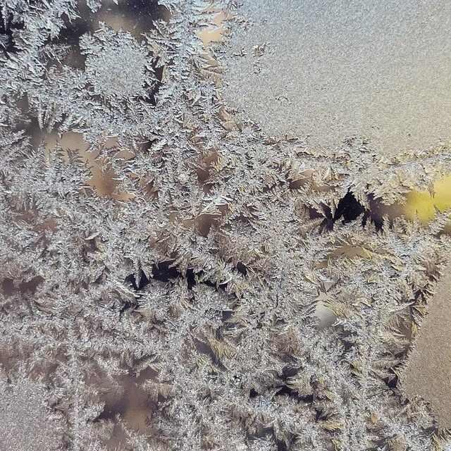 growhousegrow's tweet card. Katie Deedy (@growhousegrow) • Instagram photo