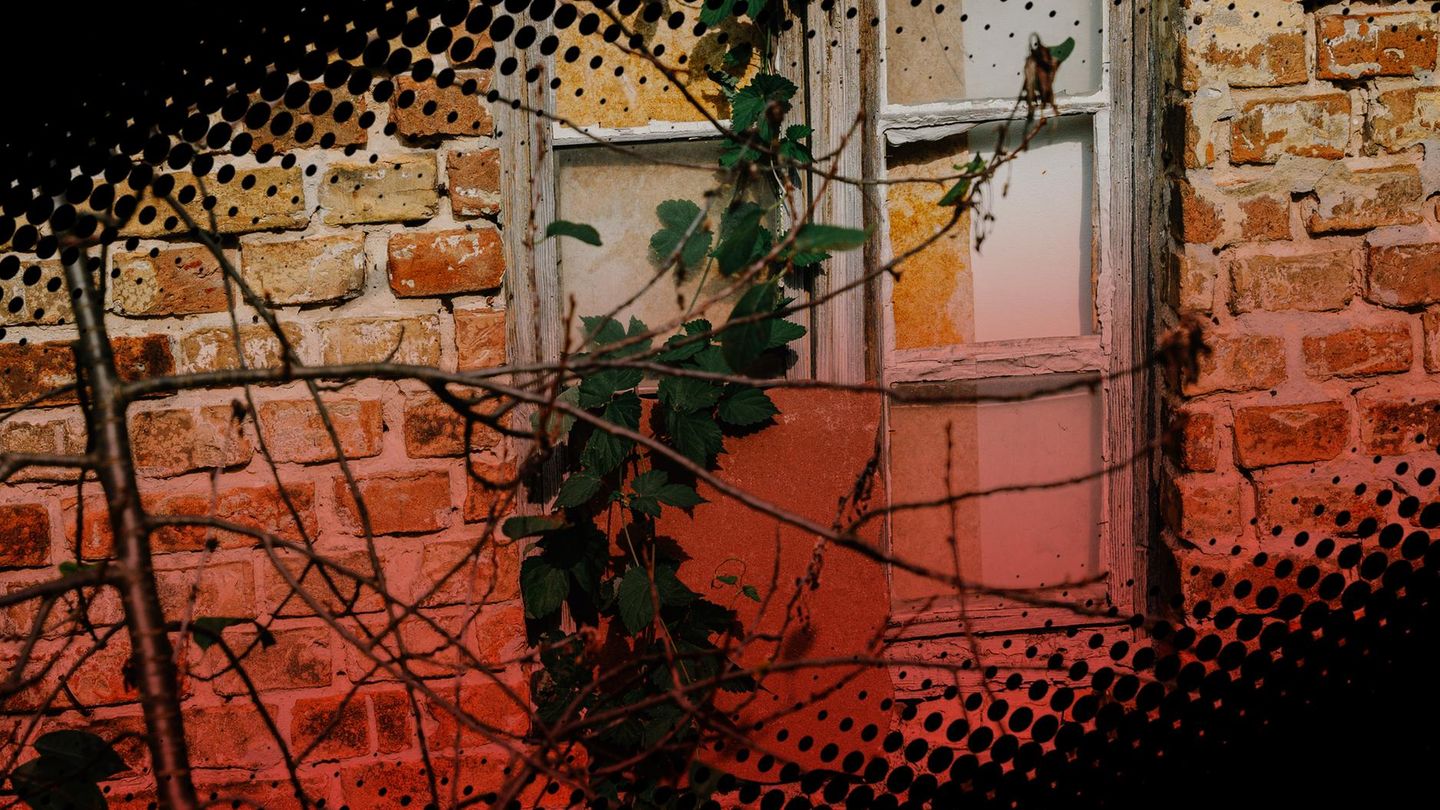 HeiseThomas's tweet card. 2005 wird in Berlin Alexander Luchterhandt getötet. Der Mörder ist bis heute auf freiem Fuß. Jetzt sagt ein Zeuge: Ich weiß, wer es war.