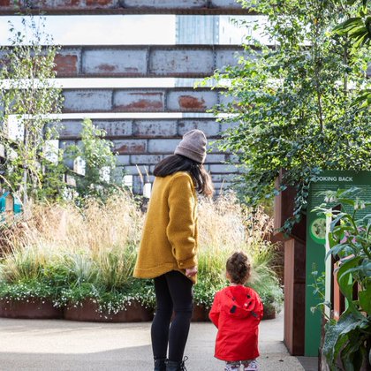 Tweet card summary image