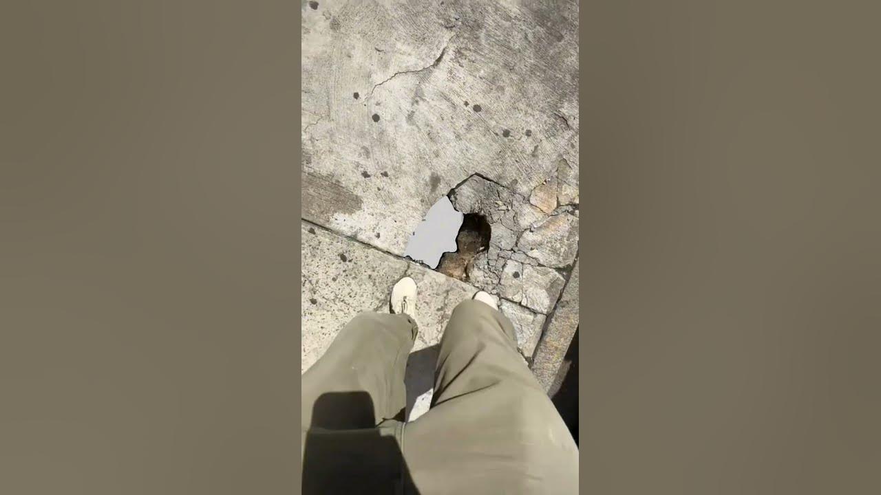 Informatykadlak's tweet card. Devops Tool Stack #devopsengineering #devops #cics #jenkins #terraf...