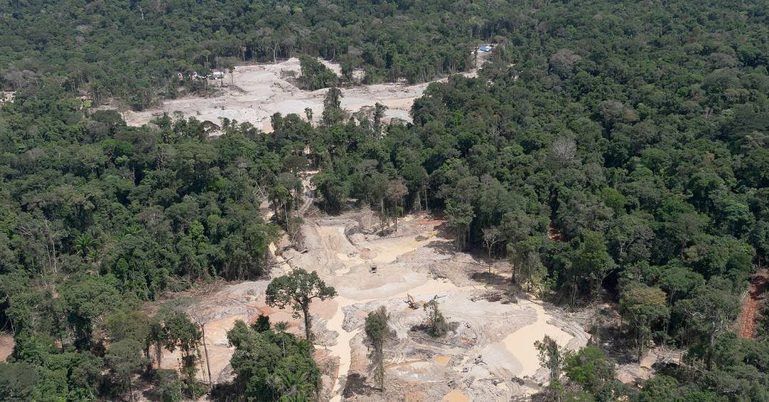 VEJA's tweet card. Balanço dos últimos 12 meses aponta devastação do equivalente a três cidades de São Paulo, o que interrompe o recente ciclo de queda da gestão Lula