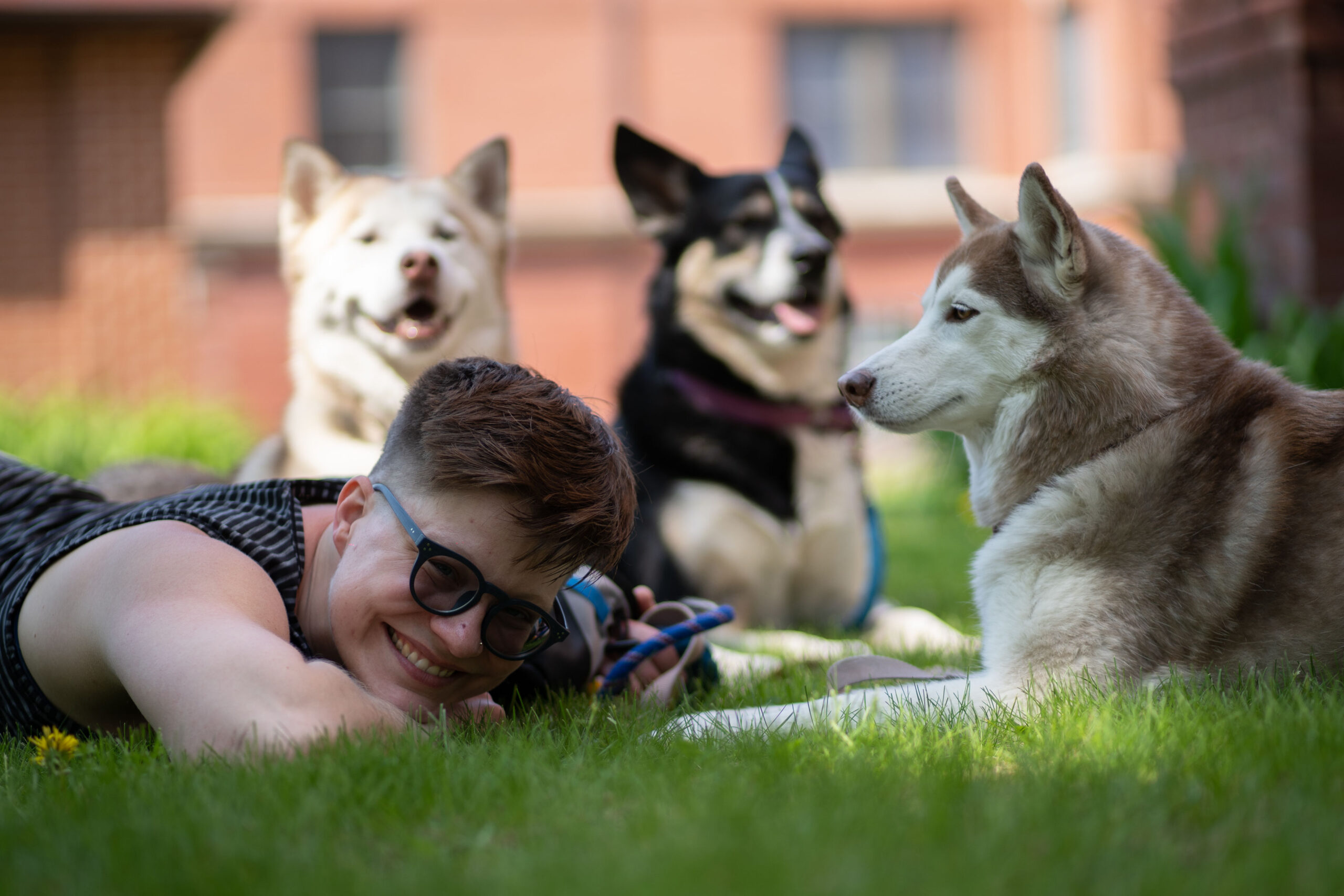 drdavenayak's tweet card. At Renegade Dog Services in Chicago, IL we live a no-rules, renegade lifestyle with pack walks and nap time and treats, oh my! Accepting new clients now.