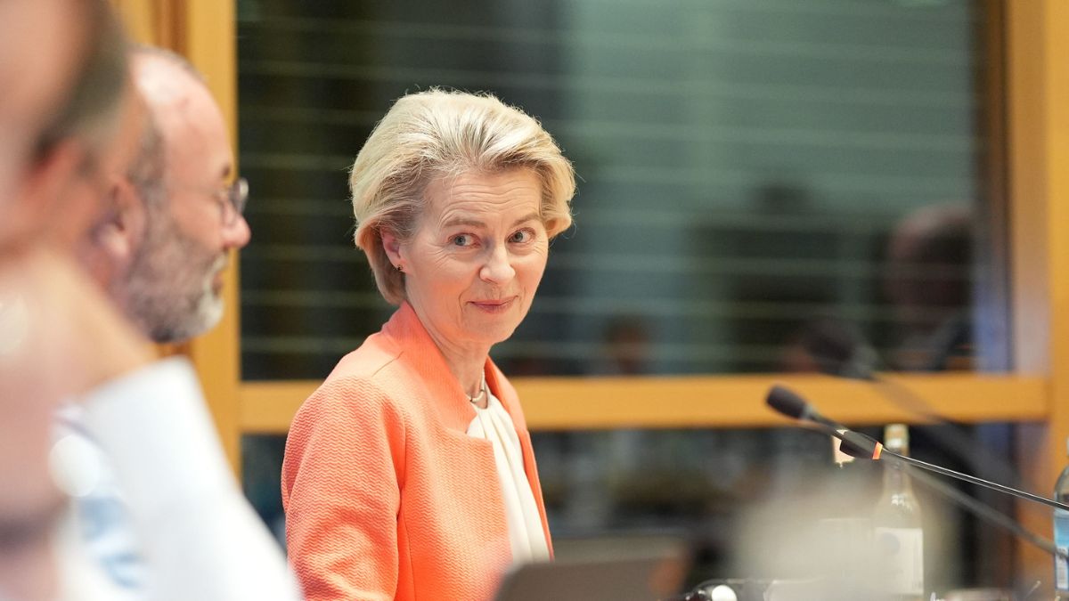 SillySigns1's tweet card. Hij zei ook dat Von der Leyen ‘gevaarlijk’ is en ‘in een gesticht’ moet worden gestopt.