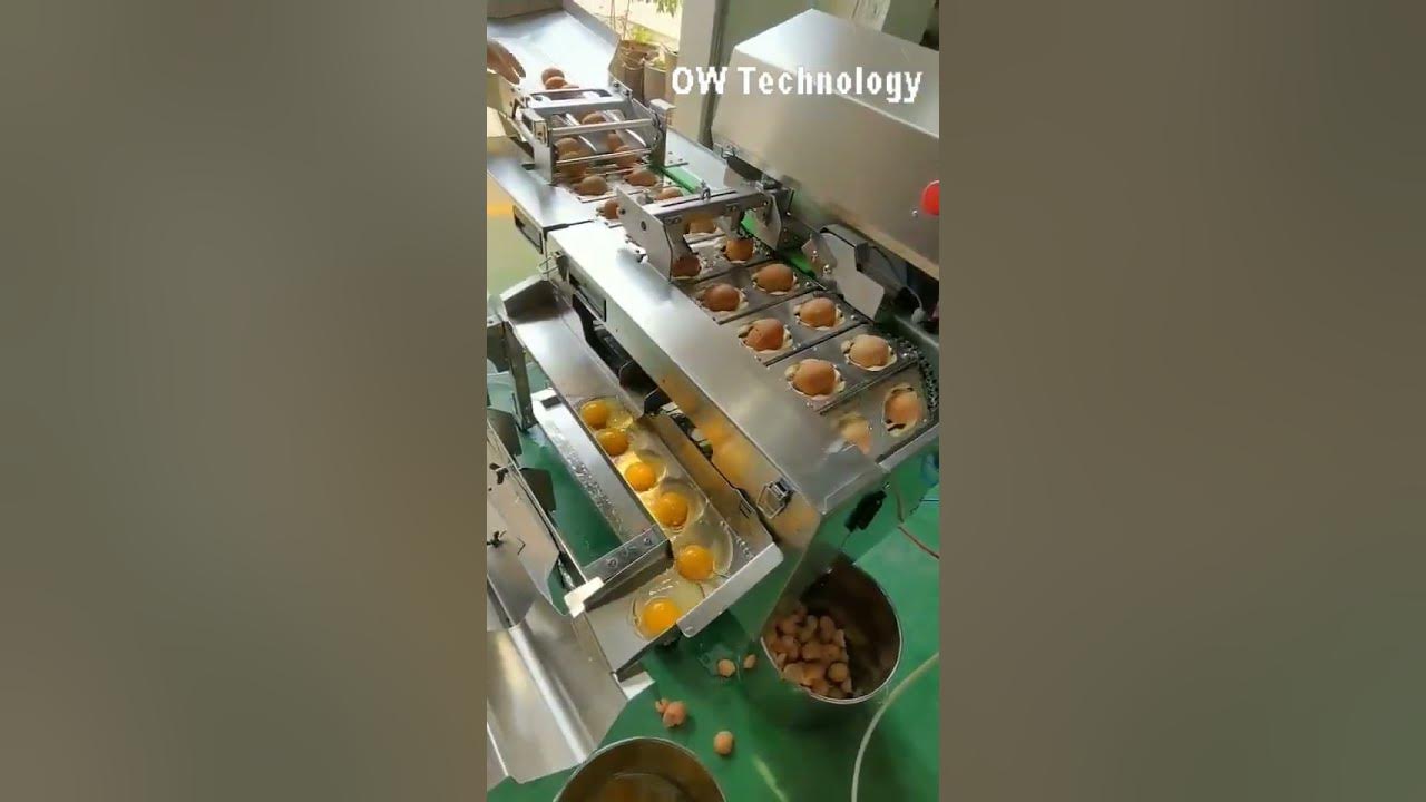 LdmOhL1ietRzolE's tweet card. Egg yolk and egg white separator machine #eggyolk #eggwhite #separa...