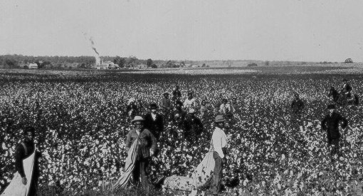 eji_org's tweet card. On this day, South Carolina enacted a law requiring contracts to refer to white people as 'master.'