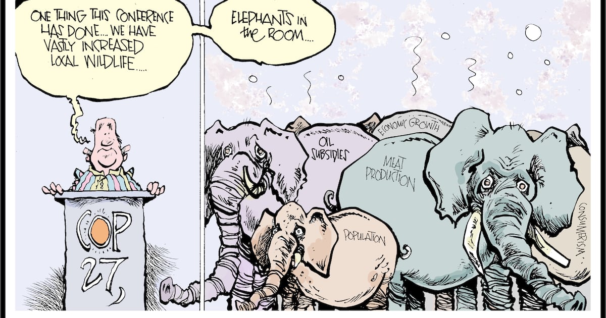 misspheasey's tweet card. Wednesday November 16th, 2022