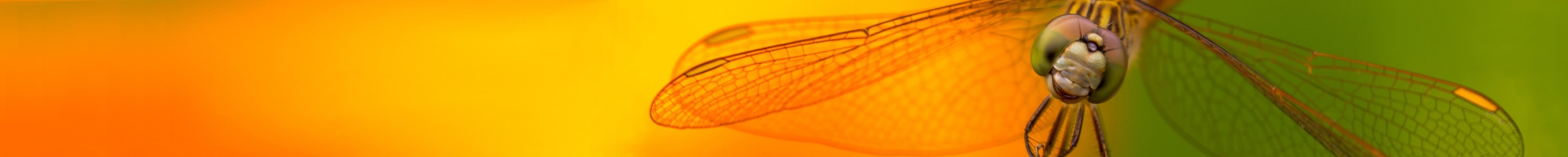 TransmitScience's tweet card. Our courses cover a wide range of topics in life and earth sciences.